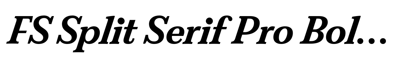 FS Split Serif Pro Bold Italic